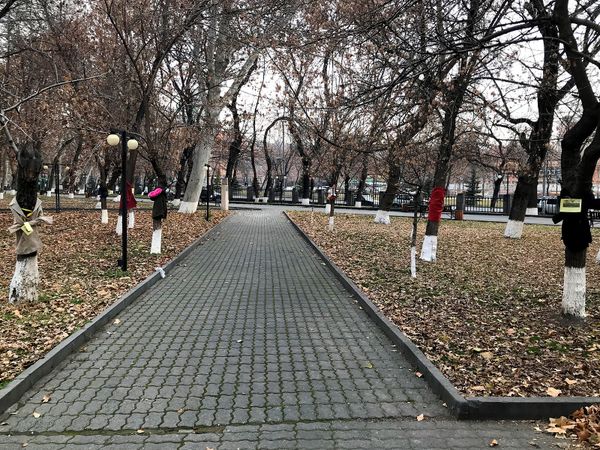 Մի կտոր ջերմություն` «նորաձև» ծառերից. բարեգործական ակցիան տաքացրել է տասնյակ մարդկանց - Sputnik Արմենիա