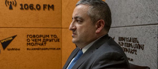 «Սպանդանոցային մորթն այլընտրանք չունի». Գեորգի Ավետիսյան - Sputnik Արմենիա