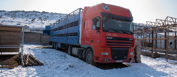 Грузовая машина скотобойни в селе Арамус Грузовая машина скотобойни в селе Арамус - Sputnik Армения
