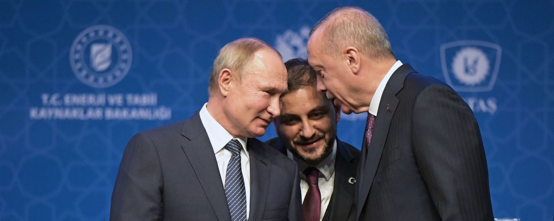 Рабочий визит президента РФ В. Путина в Турецкую Республику - Sputnik Армения, 1920, 26.09.2021