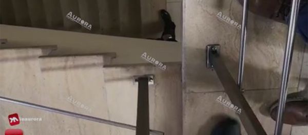 Переговоры начальника полиции с предполагаемым преступником Переговоры начальника полиции с предполагаемым преступником - Sputnik Армения