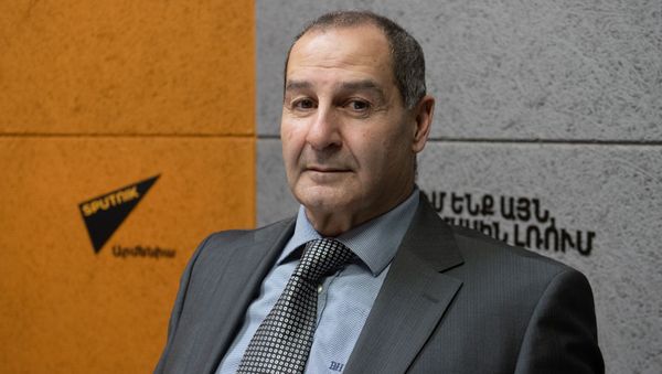 «Առանց պաշտպանության ոչինչ չի կարող հարատևել». Ալեքսանդր Մինասյան - Sputnik Արմենիա