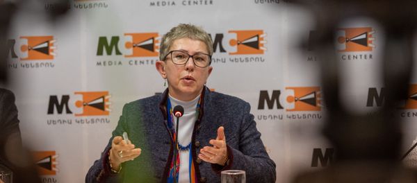 Директор Фонда Открытого Общества Армении Лариса Минасян на пресс конференции (29 января 2020). Еревaн - Sputnik Արմենիա