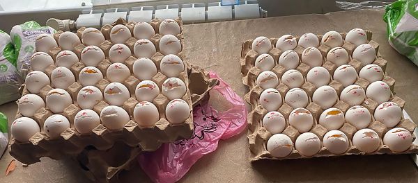 Сотрудники службы по безопасности пищевых продуктов выявили просроченные продукты питания в одной из школ Ширака (29 января 2020). Гюмри - Sputnik Արմենիա