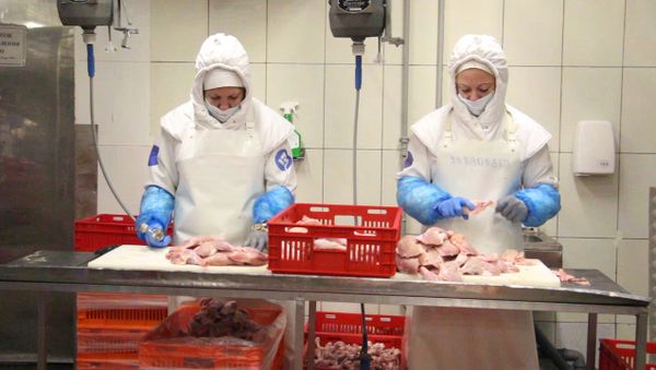 Мясо есть: из чего делают куриную колбасу - Sputnik Армения