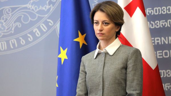 Глава Минздрава Грузии Екатерина Тикарадзе - Sputnik Արմենիա