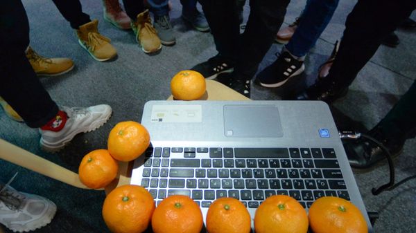 Мандарины у компьютера - Sputnik Армения