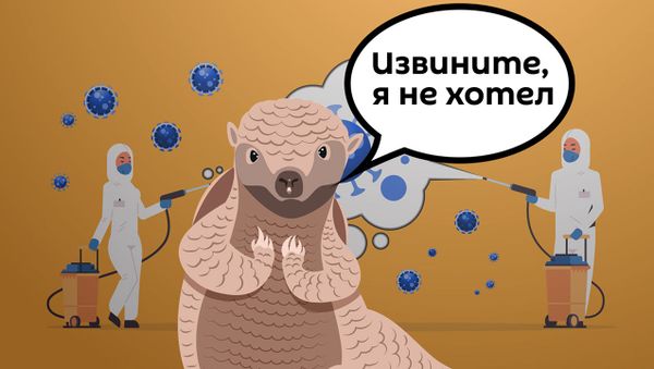 Мир охватили эпидемии, ВОЗ призывает объединить усилия - Sputnik Армения