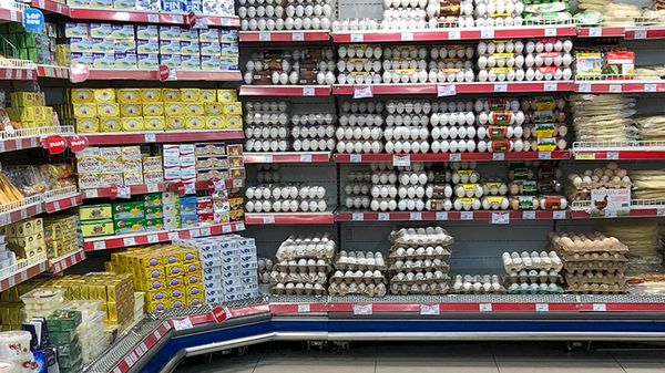 Продукты на прилавках супермаркета - Sputnik Արմենիա