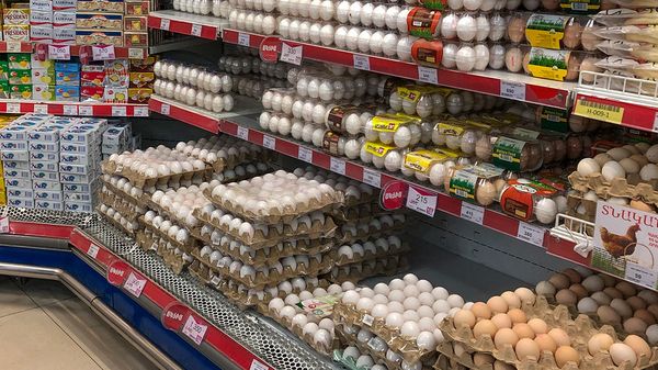 Продукты на прилавках супермаркета - Sputnik Армения