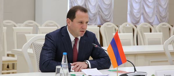 Официальный визит Министра обороны Армении Давида Тонояна в Республику Беларусь (13-14 февраля 2020). Минск - Sputnik Արմենիա