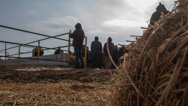 Արխիվային լուսանկար - Sputnik Արմենիա
