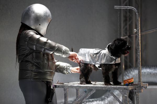 Модели представляют коллекцию Moncler на неделе моды в Милане - Sputnik Армения