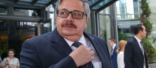 Посол России в Турции Алексей Ерхов во время официального визита председателя СФ РФ Валентины Матвиенко в Турцию (17 мая 2019). Анкара - Sputnik Армения
