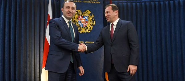 Министры обороны Армении и Грузии Давид Тоноян и Ираклий Гарибашвили после совместной пресс-конференции (27 февраля 2020). Еревaн Министры обороны Армении и Грузии Давид Тоноян и Ираклий Гарибашвили после совместной пресс-конференции (27 февраля 2020). Еревaн - Sputnik Армения