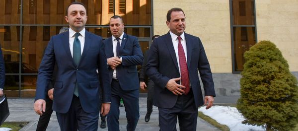 Министры обороны Армении и Грузии Давид Тоноян и Ираклий Гарибашвили после совместной пресс-конференции (27 февраля 2020). Еревaн Министры обороны Армении и Грузии Давид Тоноян и Ираклий Гарибашвили после совместной пресс-конференции (27 февраля 2020). Еревaн - Sputnik Армения