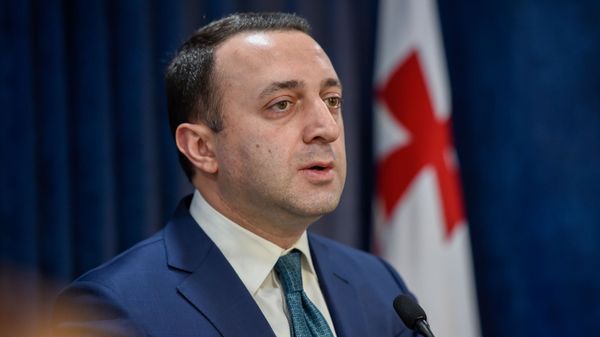  Министр обороны Грузии Давид Ираклий Гарибашвили на пресс-конференции (27 февраля 2020). Еревaн - Sputnik Армения