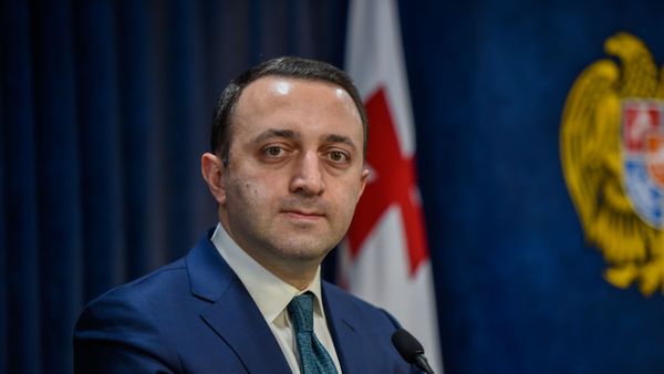  Министр обороны Грузии Давид Ираклий Гарибашвили на пресс-конференции (27 февраля 2020). Еревaн - Sputnik Армения