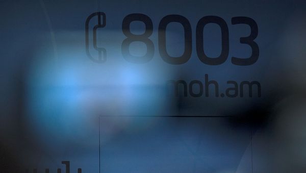 Номер телефона горячей линии министерства здравоохранения в пресс-центре министерства - Sputnik Армения