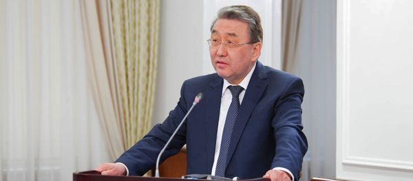 Вице-министр индустрии и инфраструктурного развития Казахстана Берик Камалиев - Sputnik Армения
