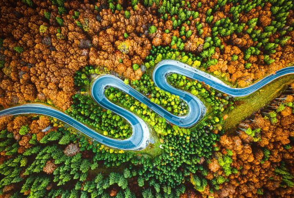 Снимок Autumn serpentine латышского фотографа Arvids Baranovs, победивший в номинации National Awards (Латвия)  конкурса 2020 Sony World Photography Awards - Sputnik Армения