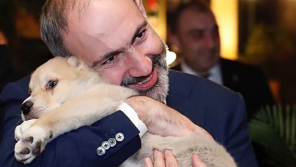 Премьер-министр Никол Пашинян с подарком от премьера Грузии Георгия Гахария (3 марта 2020). Тбилиси - Sputnik Արմենիա