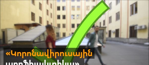 «Կորոնավիրուսային պրոֆիլակտիկա». մի քանի խորհուրդ «Կորոնավիրուսային պրոֆիլակտիկա». մի քանի խորհուրդ - Sputnik Արմենիա