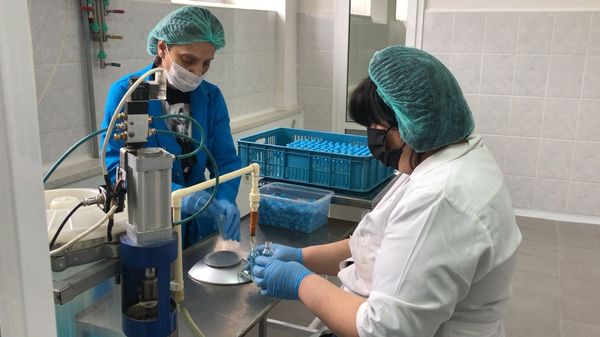 Алкогель с армянским абрикосом, или Как в стране изменилась индустрия антисептиков - Sputnik Армения