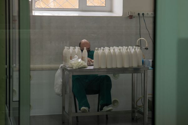 Ալկոգել ծիրանով, կամ ինչ փոփոխություններ է կրել երկրում ախտահանող միջոցների արտադրությունը Ալկոգել ծիրանով, կամ ինչ փոփոխություններ է կրել երկրում ախտահանող միջոցների արտադրությունը - Sputnik Արմենիա