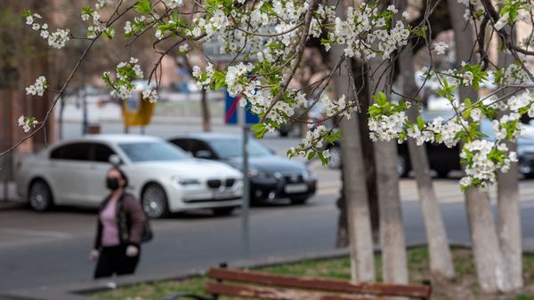 Весенняя ереванская улица - Sputnik Армения