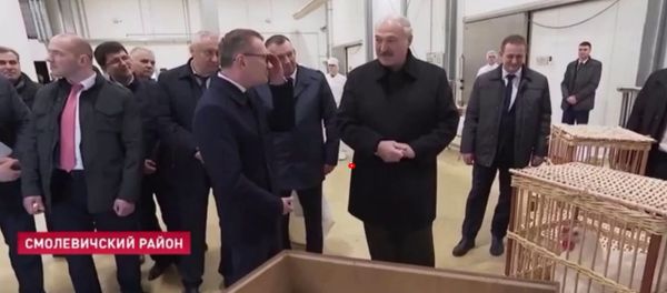 Александру Лукашенко подарили инкубатор - Sputnik Արմենիա