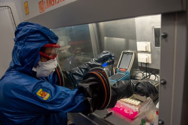 Совместный удар по COVID-19: как работает российская мобильная лаборатория в Армении Совместный удар по COVID-19: как работает российская мобильная лаборатория в Армении - Sputnik Армения