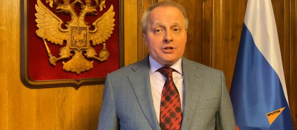 Обращение посла Сергея Копыркина к гражданам России, застрявшим в Армении из-за пандемии - Sputnik Армения