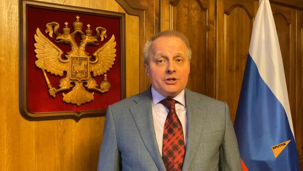 Обращение посла Сергея Копыркина к гражданам России, застрявшим в Армении из-за пандемии - Sputnik Армения