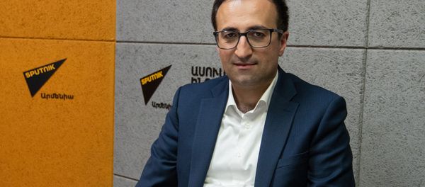 28 երեխա, 4 հղի. Թորոսյանը բացառիկ մանրամասներ է հայտնել կորոնավիրուսի թեմայով - Sputnik Արմենիա