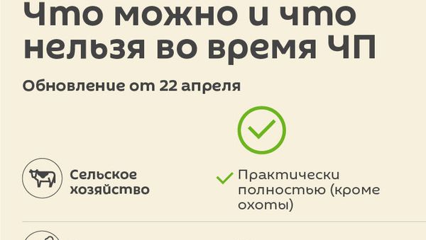 Что можно и что нельзя во время ЧП: Обновление от 22 апреля - Sputnik Армения