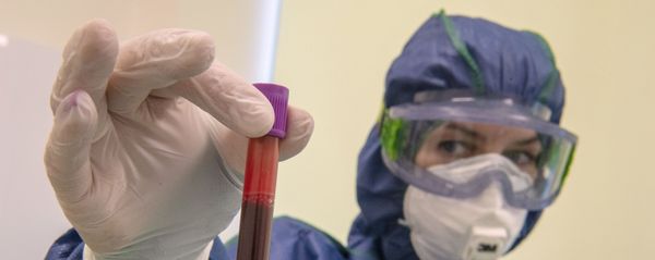 Экспресс-диагностика на антитела к коронавирусу в клинике Hadassah Medical Moscow в Сколково Экспресс-диагностика на антитела к коронавирусу в клинике Hadassah Medical Moscow в Сколково - Sputnik Армения