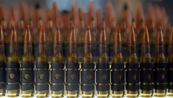 Патроны - Sputnik Армения