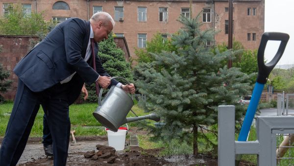Посадка ели ко Дню Великой Победы во дворе посольства России в Армении (5 мая 2020). Еревaн - Sputnik Армения