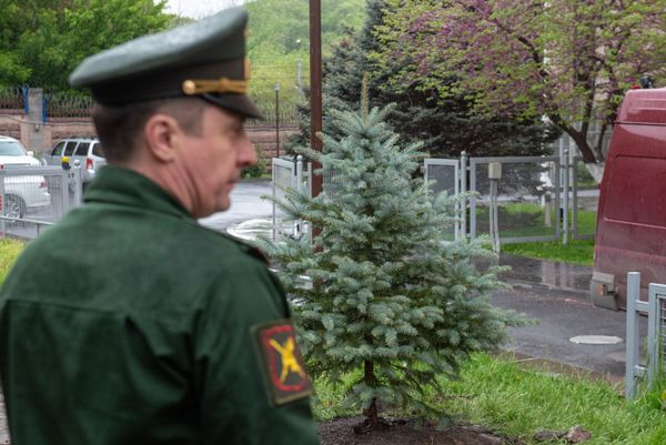 Будет хорошо расти в память о войне: в посольстве России в Армении посадили ель к 9 мая - Sputnik Армения