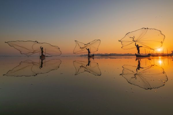 Снимок The Morning Catch мьянманского фотографа Zay Yar Lin , ставший третьим в конкурсе Pink Lady® Food Photographer of the Year 2020  - Sputnik Армения