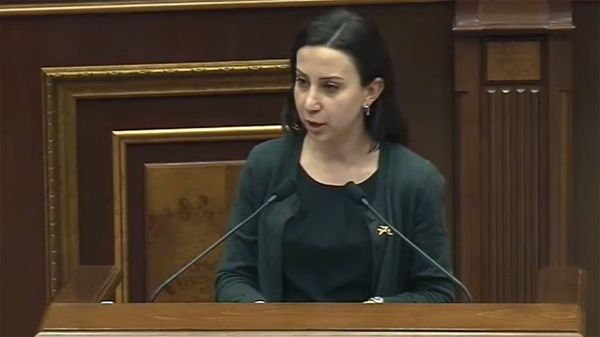Депутат фракции Мой шаг Мария Карапетян на заседании Национального Собрания (21 января 2020). Еревaн - Sputnik Армения