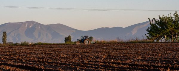 Сельскохозяйственные работы Сельскохозяйственные работы - Sputnik Армения