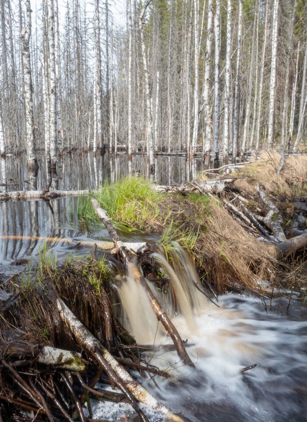 Водопад в Пряжинском районе Республики Карелия Водопад в Пряжинском районе Республики Карелия - Sputnik Армения
