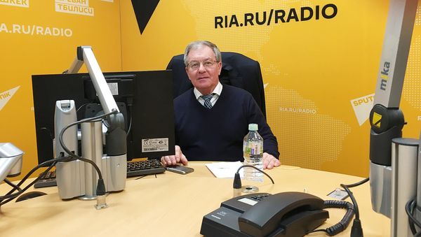 Кандидат экономических наук, эксперт РИСИ Михаил Беляев - Sputnik Армения