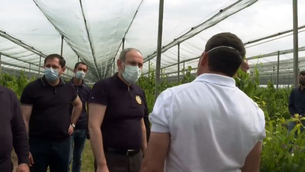 Премьер-министр Никол Пашинян посещает теплицы в Араратской области (23 мая 2020). - Sputnik Արմենիա