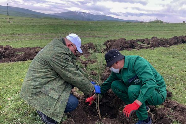 Посадка деревьев в Национальном парке Озеро Арпи Посадка деревьев в Национальном парке Озеро Арпи - Sputnik Армения
