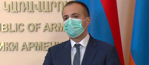 Министр здравоохранения Арсен Торосян во время брифинга премьер-министра Армении (26 мая 2020). Еревaн Министр здравоохранения Арсен Торосян во время брифинга премьер-министра Армении (26 мая 2020). Еревaн - Sputnik Армения