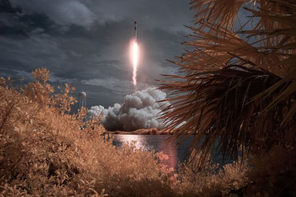 Первый пилотируемый запуск корабля Crew Dragon, созданного компанией SpaceX Илона Маска Первый пилотируемый запуск корабля Crew Dragon, созданного компанией SpaceX Илона Маска - Sputnik Армения