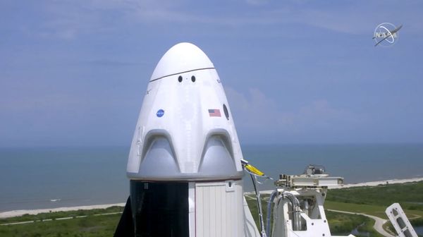 Корабль Crew Dragon, созданный компанией SpaceX Илона Маска - Sputnik Армения